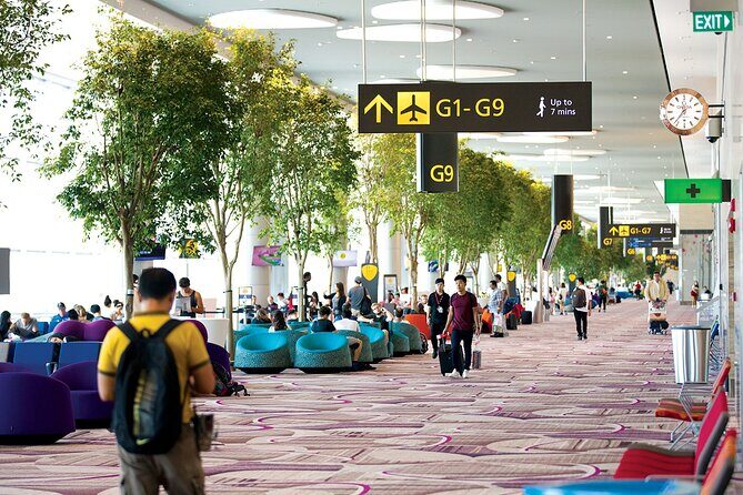 Private Arrival Transfer From Singapore Airport or Port to Hotel - Who is this transfer best suited for?