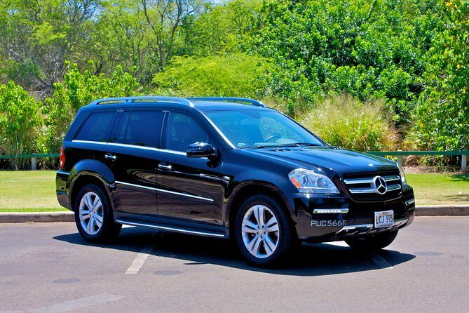 Private Arrival Transfer: Kona International Airport to Big Island Hotels - Detailed Review of the Private Arrival Transfer from Kona Airport