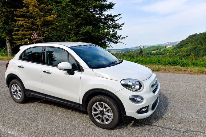 Private Arrival Transfer: Rome Fiumicino Airport to Hotel - Key Points