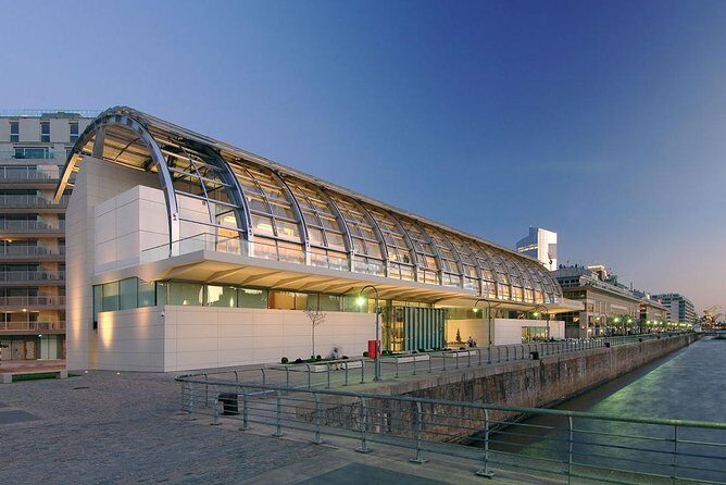 Private Art and Museums Tour in Buenos Aires - Discover Buenos Aires Art Scene with a Private Museum Tour