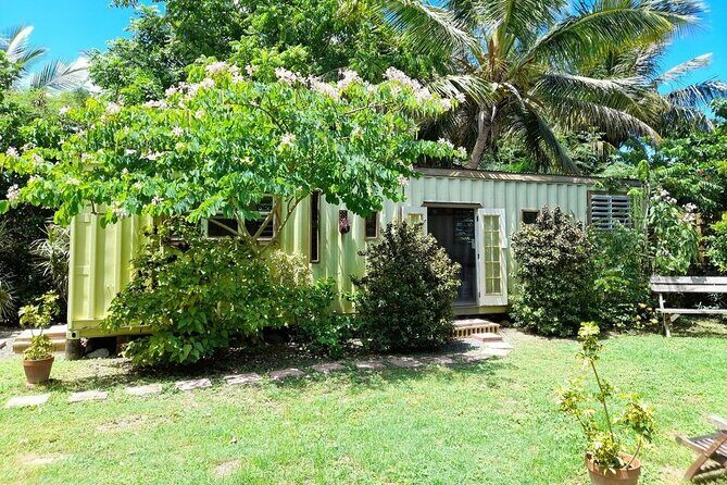 Private Art & Culture Tour in Tortola Virgin Islands - FAQ