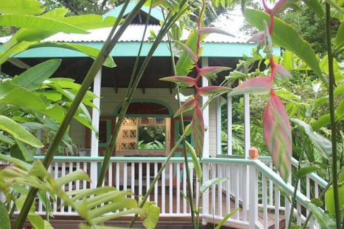 Private Art Tour or Food Tour - Experience Antigua’s Art and Culinary Scene in a Private Tour