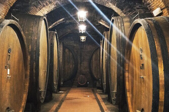 Private Art & Wine Tour in Cortona & Montepulciano, with lunch & 2 wine tastings - Detailed Review of the Tour Experience