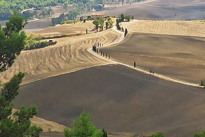 Private Art & Wine Tour in Cortona & Montepulciano, with lunch & 2 wine tastings - Who Is This Tour Best For?