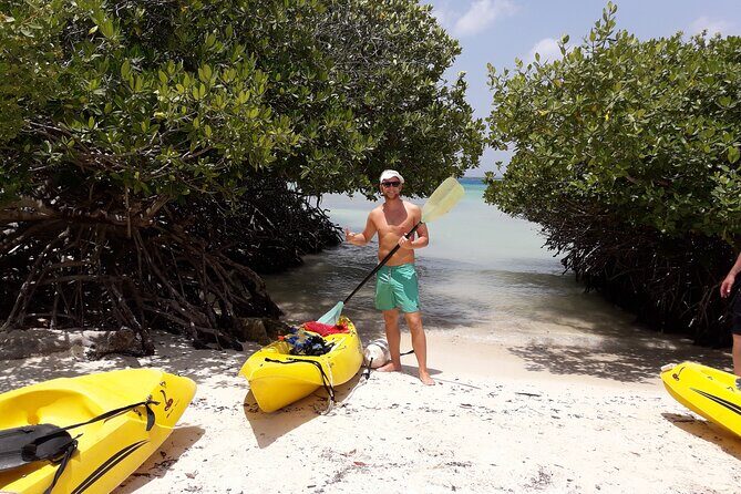 Private Aruba Kayak & Snorkeling Tour + Transortation - Key Points