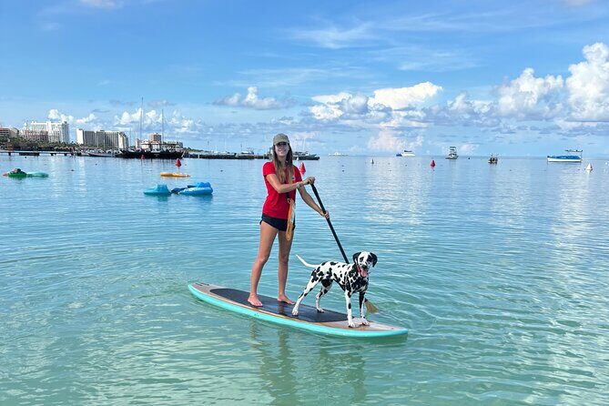 Private Aruba Stand Up Paddleboard Experience - A Clear Look at the Private Aruba Stand Up Paddleboard Experience