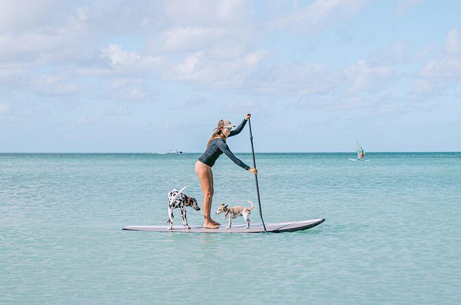 Private Aruba Stand Up Paddleboard Experience - Key Points