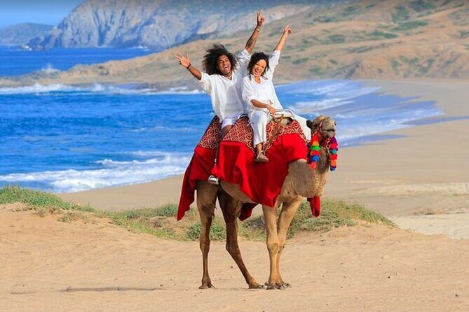 Private ATV and Camel Ride on a White Sand Beach - A Detailed Look at the Tour Experience