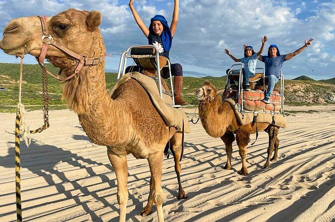 Private ATV and Camel Ride on a White Sand Beach - The Sum Up
