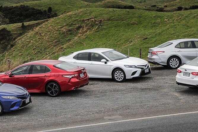 Private Auckland Airport Transfer To/From Auckland Hotels by Car - Deep Dive: What You Can Expect on Your Transfer