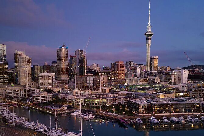 Private Auckland Airport Transfer to, from Auckland Hotels SUV - What Makes This Transfer Special?