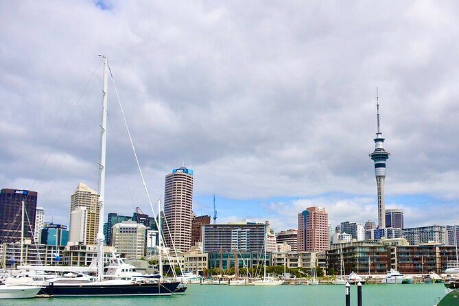 Private Auckland best Spots + Piha beach and rainforest day Tour - Exploring Auckland with a Private Guide: What to Expect