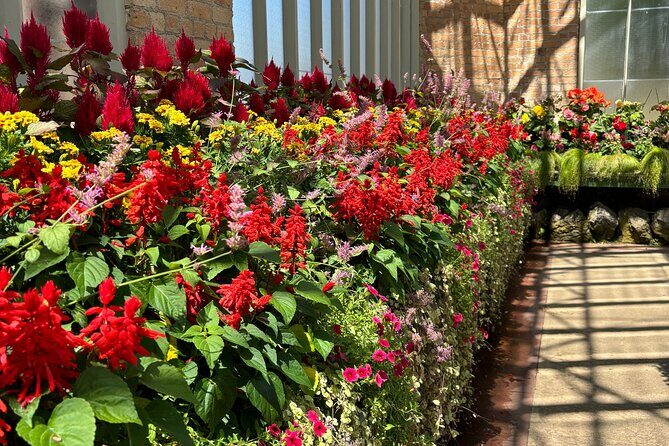 Private Auckland best Spots + Piha beach and rainforest day Tour - Who Should Book This Tour?