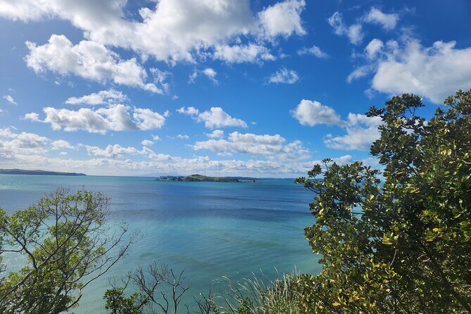 Private Auckland best Spots + Piha beach and rainforest day Tour - FAQs