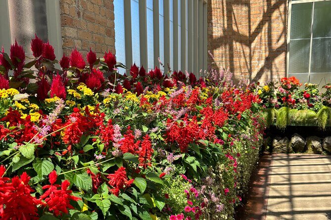 Private Auckland Best Top 5 Spots Half day Tour - The Value of a Private Tour