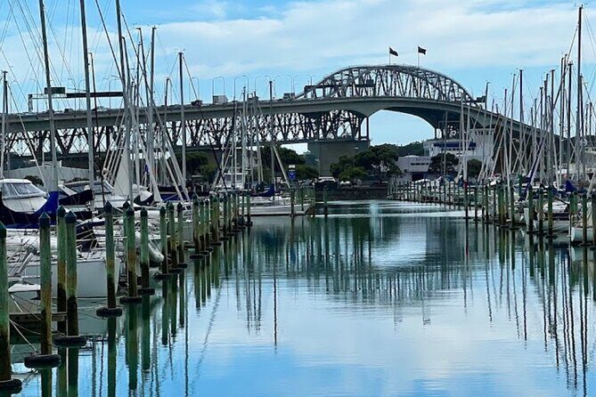 Private Auckland Best Top 5 Spots Half day Tour - Who Should Consider This Tour?