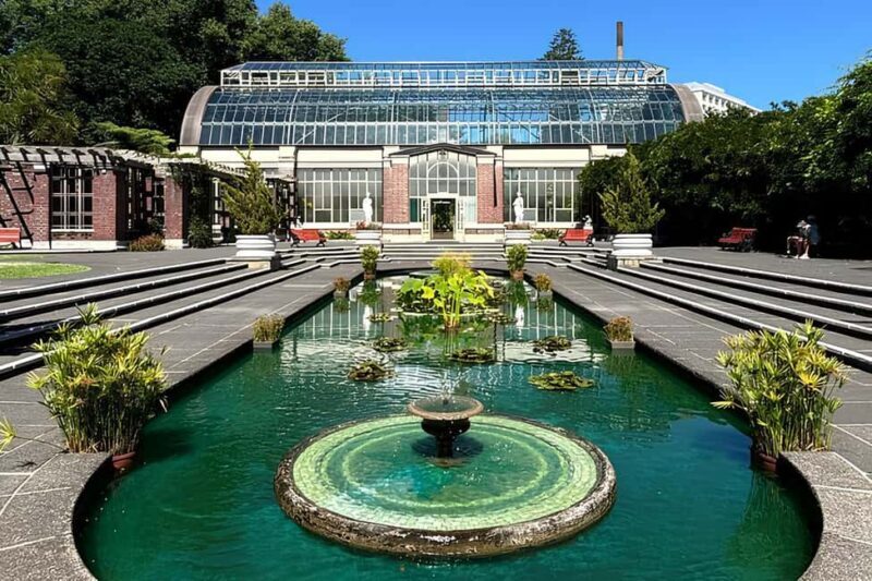 Private Auckland Best Top 5 Spots Half day Tour - Exploring Auckland in a Half Day: What This Tour Offers