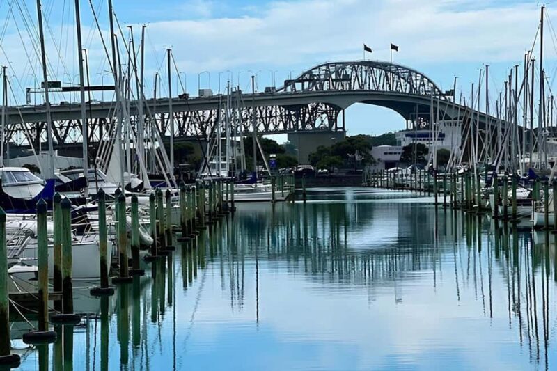 Private Auckland Best Top 5 Spots Half day Tour - What Sets This Tour Apart?