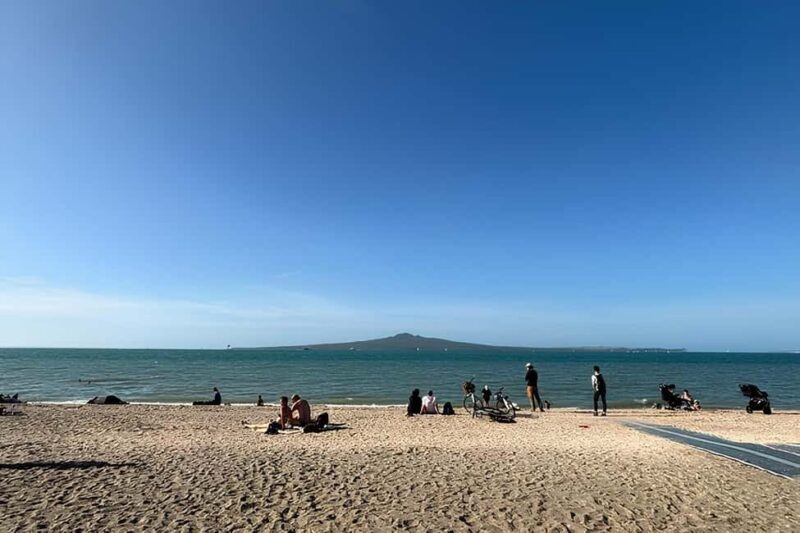 Private Auckland Best Top 5 Spots Half day Tour - Possible Drawbacks