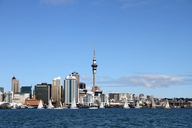 Private Auckland City Tour For Small Group in a luxury vehicle. - Key Points