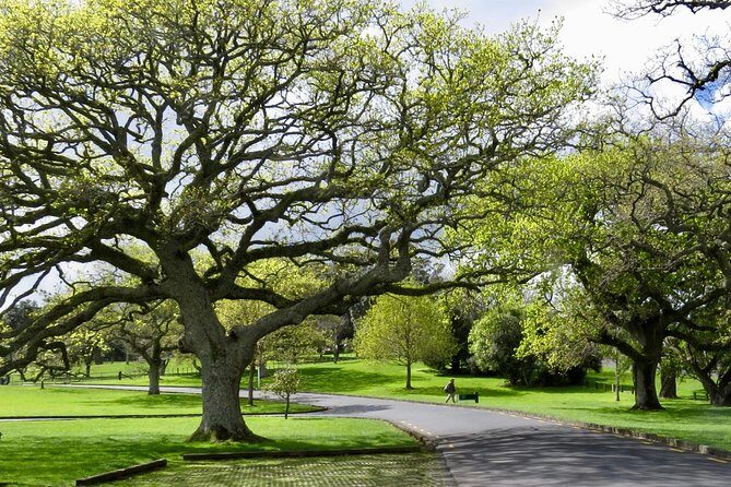 Private Auckland City Tour For Small Group in a luxury vehicle. - FAQ