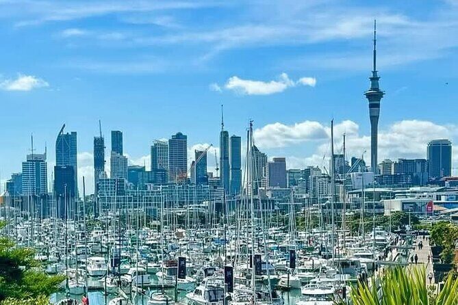 [PRIVATE] Auckland Half Day City Tour - Key Points