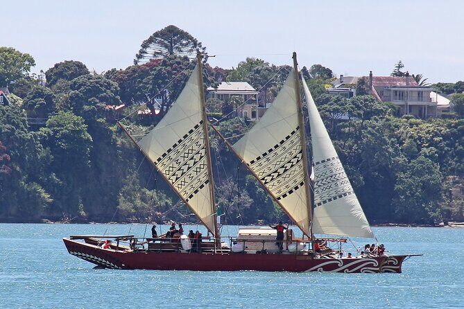 Private Auckland Personalised Half Day - Exploring Auckland in a Half Day: What to Expect