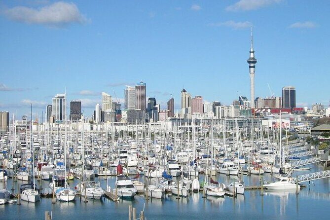 Private Auckland Shore Excursion: Half-Day City Highlights - Who Should Consider This Tour?
