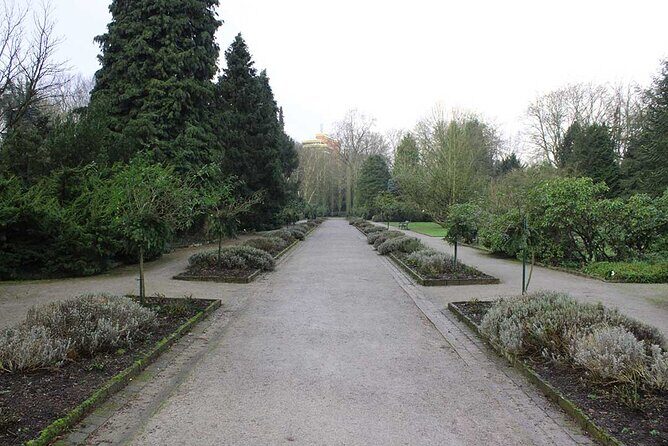 Private audio book city rally around the Rombergpark in Dortmund - Why This Tour Offers Great Value