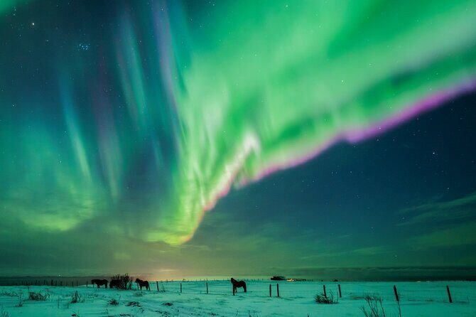 Private Aurora Hunt with Photos in Super Defender - Frequently Asked Questions