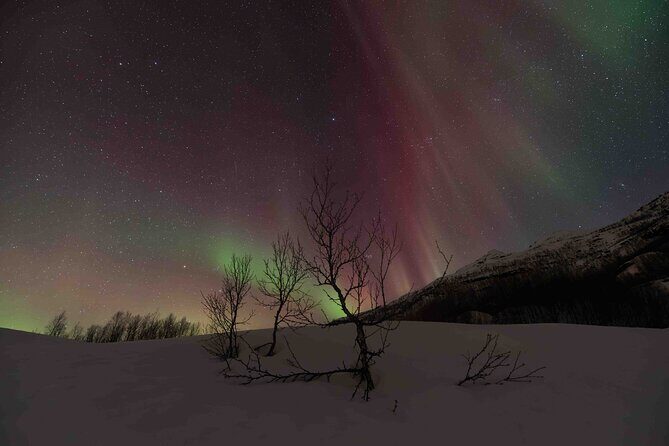 Private Aurora Hunting with Professional Photographer from Alta - Discovering the Northern Lights in Alta: A Personal Aurora Chase with Pro Photography
