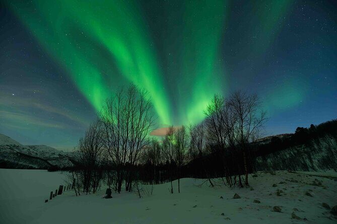 Private Aurora Hunting with Professional Photographer from Alta - Key Points