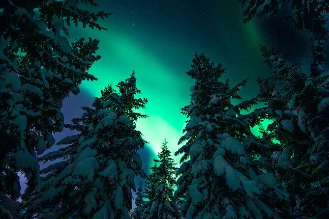Private Aurora Hunting with Professional Photographer from Alta - The Value of a Private Aurora Tour