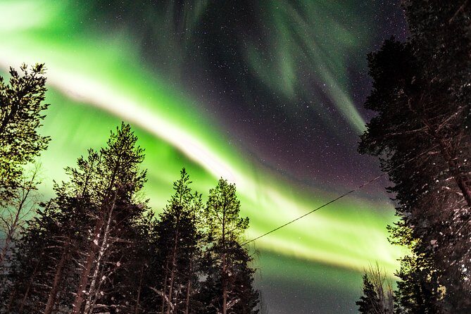 Private Aurora Tour (5 or more) by Aurora Experts - Rovaniemi - Final Thoughts