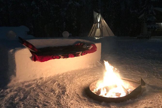 Private Aurora Viewing Experience - The Experience: What to Expect on this Private Aurora Tour