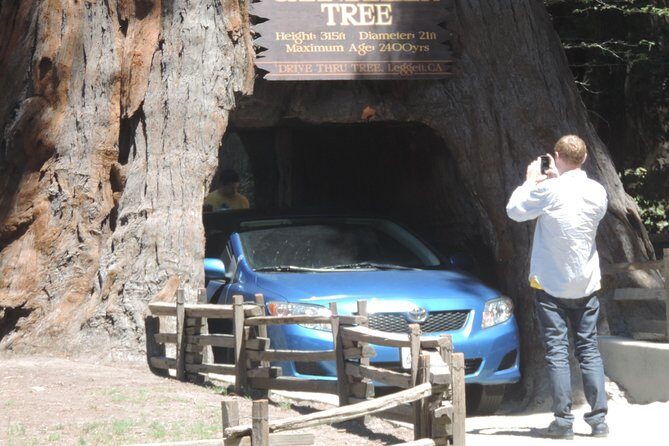 Private Avenue of the Giants Redwoods Day Trip from San Francisco - FAQ