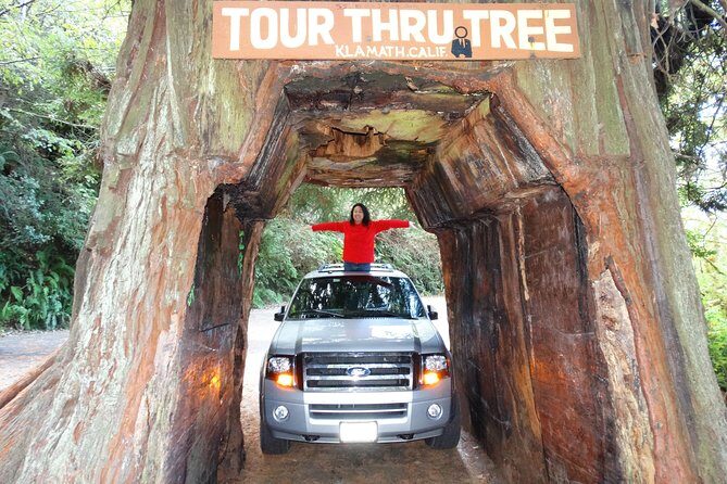 Private Avenue of the Giants Redwoods Day Trip from San Francisco - Final Thoughts