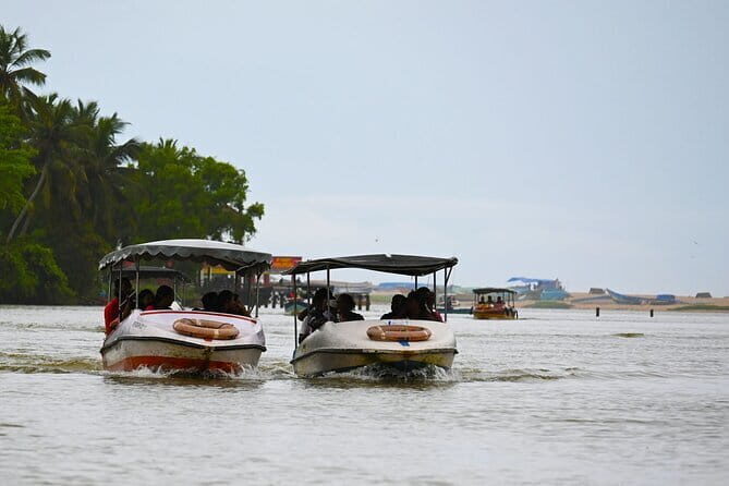 Private Backwater Boat Cruise Tour in Poovar near Trivandrum - Discovering Poovar’s Backwaters: A Practical and Authentic Kerala Experience