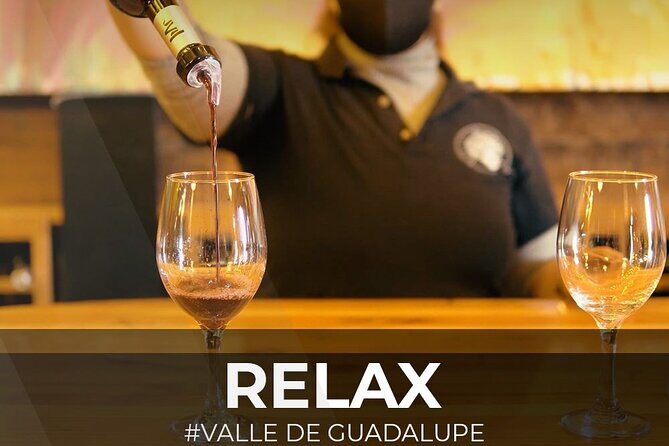 PRIVATE BAJA WINERIES EXPERIENCE (Transportation,concierge,custom schedule) - Deep Dive into the Experience