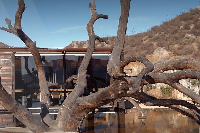 PRIVATE BAJA WINERIES EXPERIENCE (Transportation,concierge,custom schedule) - Summing It Up: Is This Tour Right for You?