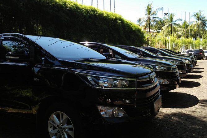 Private Bali Airport Arrival Transfer: Airport to Hotel (Arrival) - Key Points