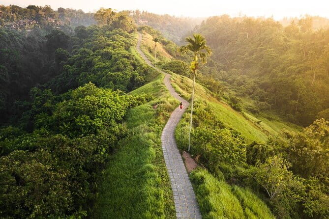 Private Bali Airport Transfer in Ubud Area - Why This Transfer Offers Good Value