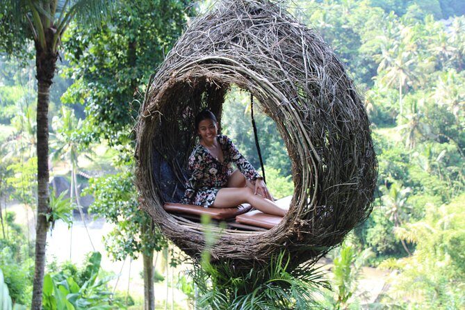 Private Bali Car Charter with Driver up to 6 People - Key Points