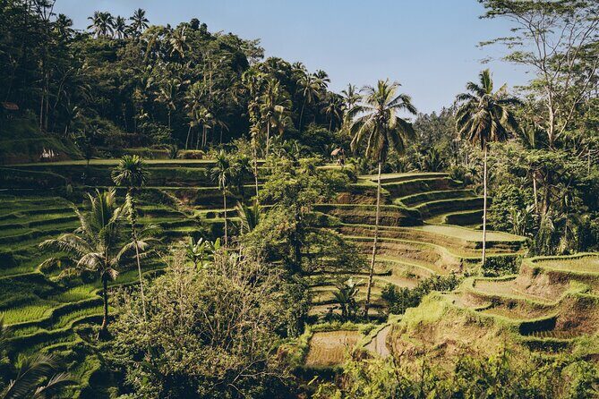 Private Bali Custom Tour Full Day with English-Speaking Driver - Key Points