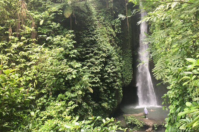 Private Bali Custom Tour Full Day with English-Speaking Driver - Why Choose This Tour?