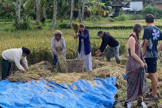 Private Bali Custom Tour Full Day with English-Speaking Driver - Final Thoughts