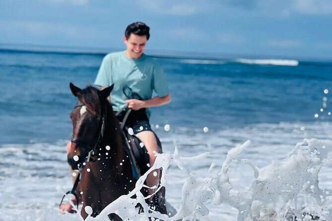Private Bali Horse riding at saba beach - Key Points