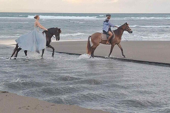 Private Bali Horse riding at saba beach - In Summary: Who Will Love This Tour?