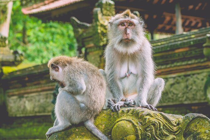 Private Bali's North Sacred Sites and Idyllic Nature Exploration - Exploring Bali’s North Sacred Sites and Natural Beauty – A Balanced, Authentic Day Trip