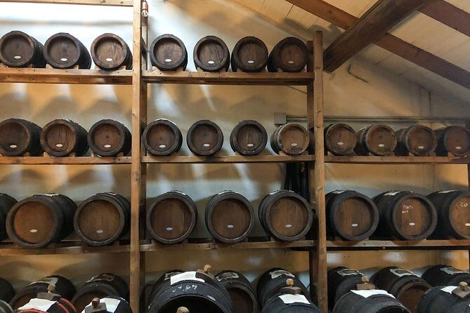 Private Balsamic Vinegar Tour and Tasting in Emilia-Romagna - Key Points